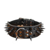 Dog-Collar Studded Spikes Pitbull Large Dog Sharp Mastiff Big with Black for 2--Width