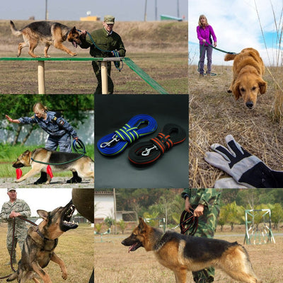 Dog-Tracking-Leash Training Dogs Large Nylon Walking Medium Non-Slip 10m 5m 3m Padded