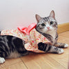 Petalk Japan Style flower cat clothes kimono with Big bowknot Dress up