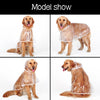 HOOPET Dog-Raincoat Jacket Puppy Dogs Waterproof Dog-Medium-Sized Big Casual