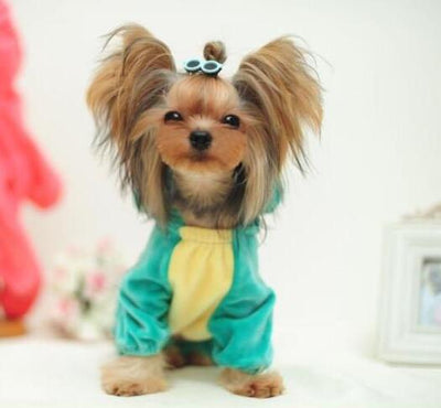 Clothing-Up Hoodies Costume Puppy-Coat Teddy Pet-Dragon Dinosaur Small Dogs Chihuahua