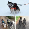 Truelove Double-Dog-Leash Training Reflective Adjustable Walking for Free