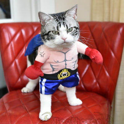 Funny Boxer Cosplay Suit Cat Clothing Halloween Uniform