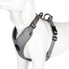 Truelove Pet-Harness Seat-Belt Handle Reflective-Dog Walk Soft Small Large Padded
