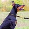 Dog-Collars Slip German Shepherd Labrador Dogs Large Real-Leather Pet Durable Medium
