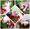PAWZ Road Pet Cat Lovely Ball Funny Puppy Cute Polka Dot