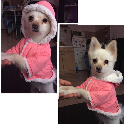 Clothing Coats Parkas Small Dogs French Bulldog Chihuahua Winter Pet-Dog-Down for Warm