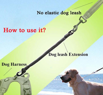 Truelove Short Bungee Dog Leash For Dogs Nylon Leash Retractable Extension In Elastic