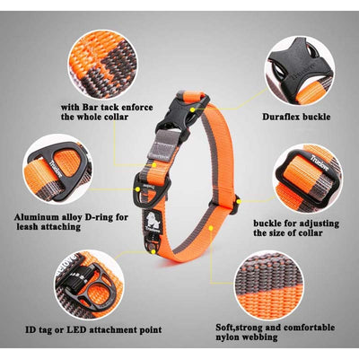 Truelove Dog-Collars Dog-Accessories Dogs Adjustable Nylon Walking for Big Small Soft