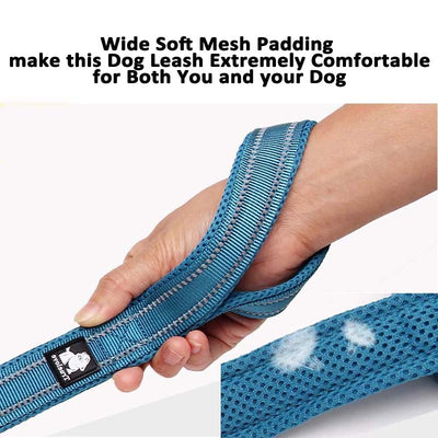 Truelove Dog Leads Walking-Training Running Reflective Nylon 5-Color Hot Soft Padded