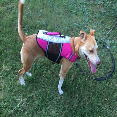 Dog Swimsuit Clothing Jacket Life-Vest Dog-Safety-Clothes for Pet-Supplies