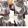 Petalk Breathable Cat Mesh Puppy Kitten Vest Adjustable Pet