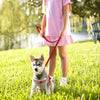 Puppy-Vest Dog-Harness Pets Leash-Set Crystal-Bone-Pendant Rhinestone Small Chihuahua