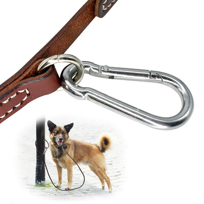 Dog-Leash Pitbull Dogs Large Medium with Mountaineering-Buckle Outdoor for Durable