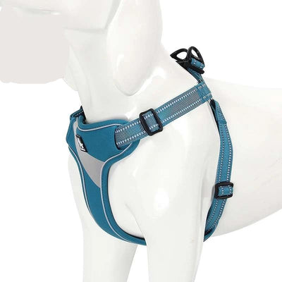 Truelove Pet-Harness Reflective Easy-On Walking Dog Nylon Adjustable Outdoor-Adventure