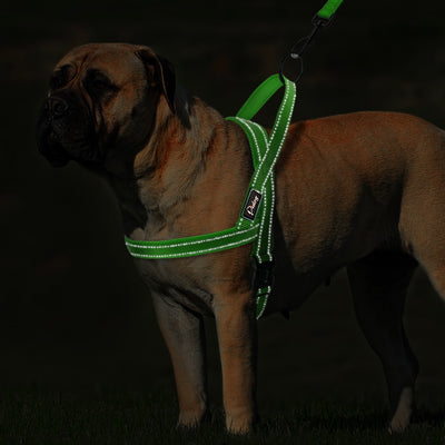 Dog-Harness-Vest Reflective No-Pull Mesh-Puppy Dogs Nylon Small Large Medium
