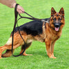 Geniune Leather Pet Dog Leash Rope Pet K9 Training Walking Lead Leashes For Medium Large Dogs