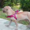 Dog-Harness Vest Reflective Dogs-Training No-Pull Walking Large Small Medium