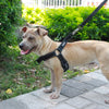 Dog-Harness Vest Reflective Dogs-Training No-Pull Walking Large Small Medium