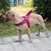 Vest Dog-Harness Pet-Dogs No-Pull Training Easy-On Adjustable Large Medium And Off Reflective