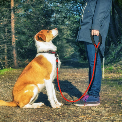 Rope Leashes Tracking Lead-Dog Pet Reflective Nylon Long Large Running Medium for Mountain-Climbing-Rope