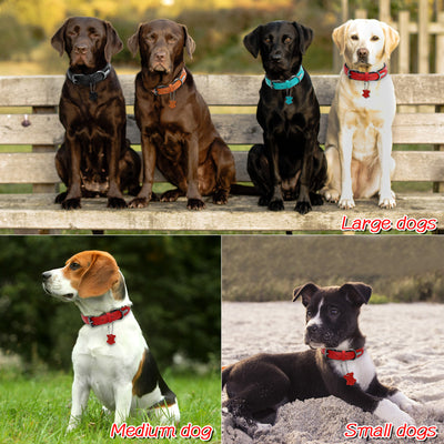 Dog-Collar German Shepherd Genuine-Leather Dogs Adjustable Large Medium Padded for Mascotas