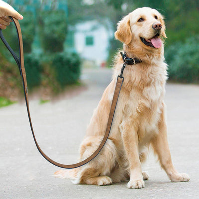 Lead Leash-Harness Training-Rope-Belt Pet-Supplies Puppy Dog Walking Running Large Pet-Dog