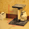 Pet-Toys Scratching-Pad Cat-House