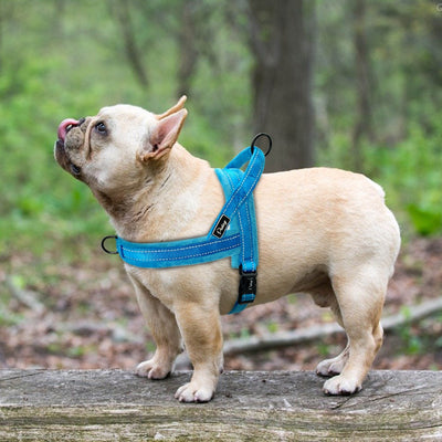 Harnesses Vest Reflective No-Pull-Strap Dogs Training Small Walking Soft Pet-Dog Nylon