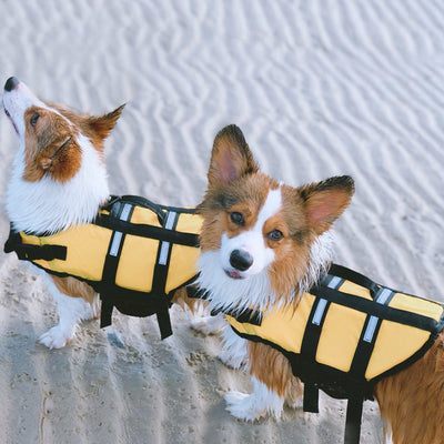 HOOPET Swimwear Swimming-Vest Safety-Clothes Life-Jacket Bull Dog-Pet Vacation Surfing