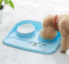 Food-Bowl Water-Food-Storage-Feeder Puppy Stainless-Steel 3-Colors Combo Rice-Basin Pet-Dog