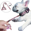 Collar Harness Leash-Set Rope-Leads Pet-Supplies Dogs Puppy-Walking French Bulldog Nylon