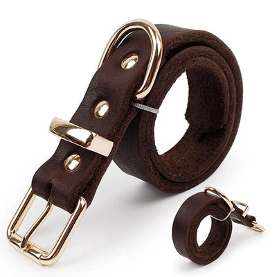 SYDZSW Pet-Leads Buckle Dog-Products Dog-Collar Labrador German Shepherd Brown Large