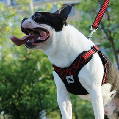 Dog-Harness Pet-Pitbull Reflective No-Pull Training Sport Small Large Medium for Dog-Safety