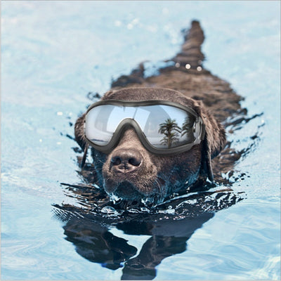 Pet-Goggles Accessaries Dog Sunglasses Anti-Breaking Sun-Resistant Windproof Eye-Wear