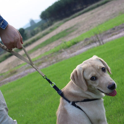 Pet-Collars Dog-Leash Police Elastic Military Nylon Tactical Multicolor 1000D
