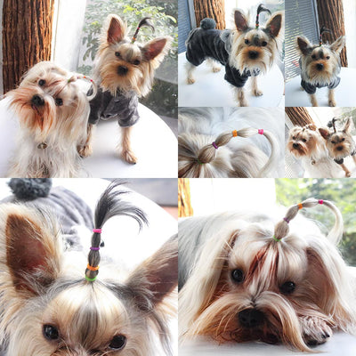 Dog-Grooming-Bands Topknot Dogs-Hair Elastic Latex for Make Best-Rubber