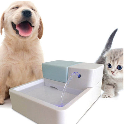 ACTIVATED-CARBON-FILTER DISH-FILTER Pet-Bowl Water-Drinking-Fountain Dog Automatic