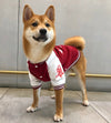 Dog Sweater Bulldog-Vest English French Yonsei MPK Uni Korea