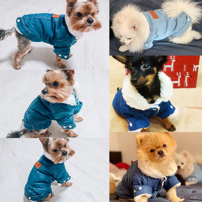 Costume Coat Jeans Pet-Clothing Dog-Jacket Puppy Poodle-Bichon Chihuahua Winter Denim