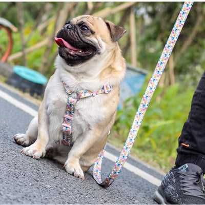 Dog Collars Fashion Designer Print Non-Escape Nylon Dog Harness Breakaway Quick Release