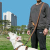 Truelove Adjustable Dog Leash Lead Pet-Training Reflective Hand-Free Walk 2-Dogs Multi-Function