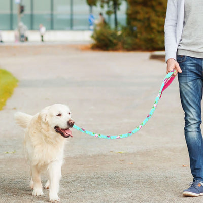 Padded Leashes-Rope Lead Dog-Leash Pet-Puppy Mesh Dogs Nylon Training Small Walking Medium