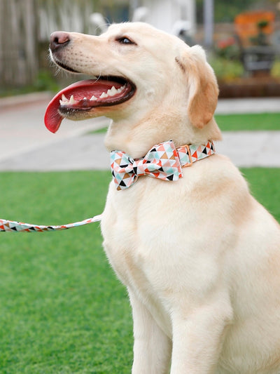 Unique Style Paws Soft and Cotton Fabric Collar Rose Gold Metal Buckle Adjustable Collar and Leash Set