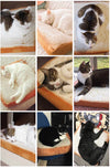 pawstrip Design Bread Toast Cat Mat Soft Fleece Puppy