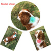 Pet-Accessories Neckties Collar 100pcs Puppy Pet-Dog New Princess Bow-Tie Rose-Style