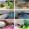 Bowl Drinkers Pets-Feeder Dog-Water-Food-Dispenser Dogs Automatic Drinkers