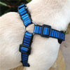 Harness Vest Light-Weight Dog No-Choke French-Bulldog No-Pull Sport-X3 Mesh Adjustable