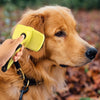 Benepaw Pet-Grooming-Tools Slicker Dog-Brush Hair Self-Clean Small Dog Large Premium