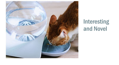 Bubble Automatic Cat Water Fountain For Pets Water Dispenser Large Drinking Bowl Cat Drink 2.8L